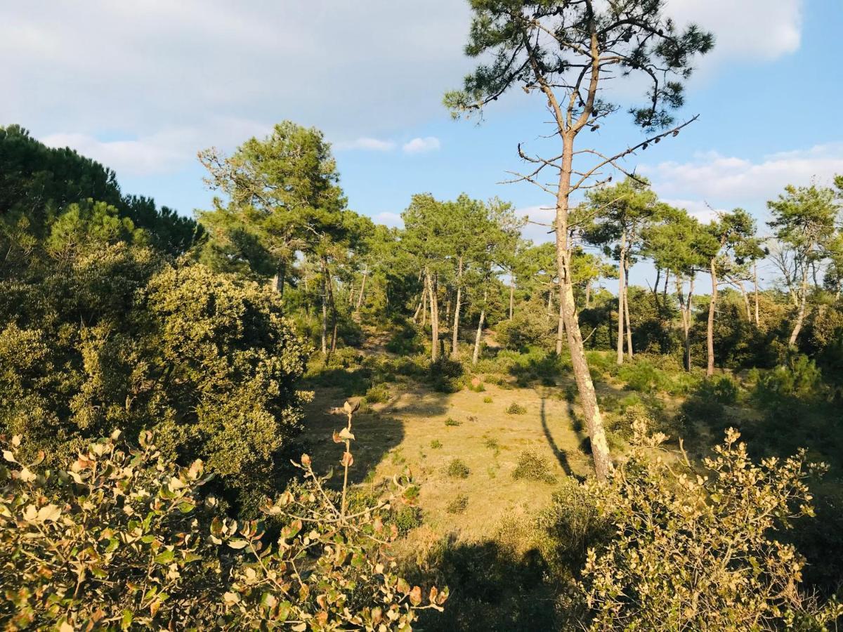 Standing Et Ocean A 50m, De L'oasis Apartment Saint-Jean-de-Monts